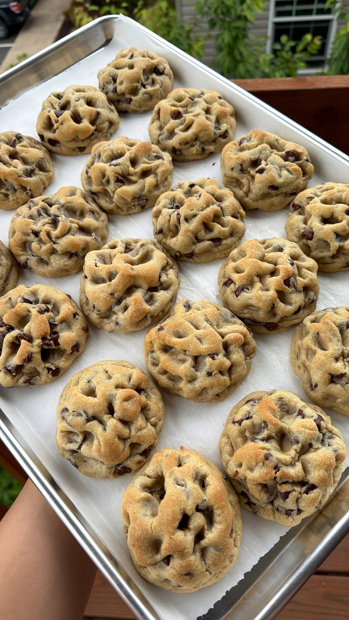 Chocolate Chip Cookie